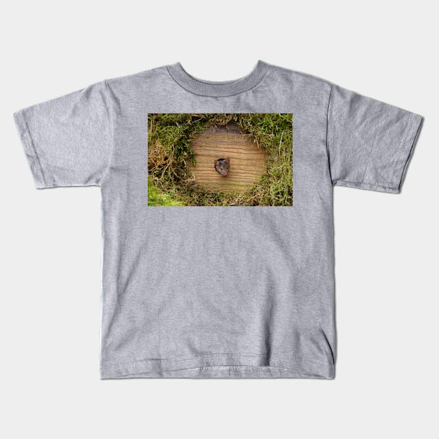 mouse in a hole Kids T-Shirt by Simon-dell
